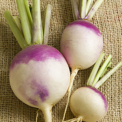 turnips-purple-top
