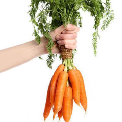 carrot-bunch