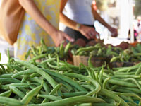 farm-beans