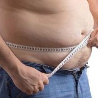 How to Effectively Lose Belly Fat