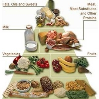 Healthy Food Plan - For Those Who Do Not Have Enough Time To Prepare A Healthy Meal