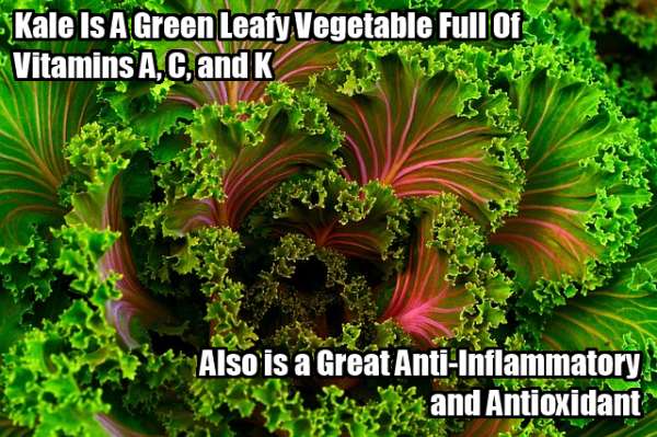 kale benefits