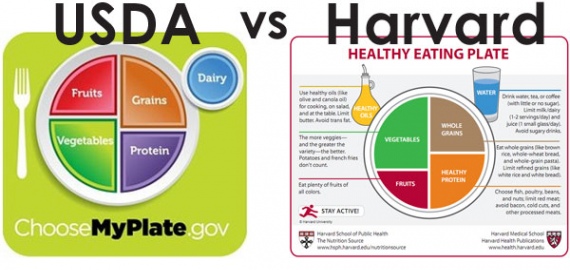 harvard vs usda