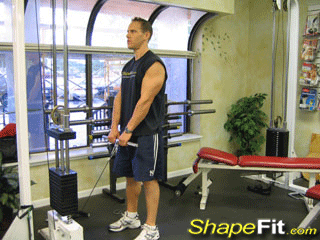 traps-exercises-upright-cable-rows