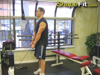 traps-exercises-cable-shrugs