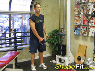shoulder-exercises-standing-low-pulley-deltoid-raises