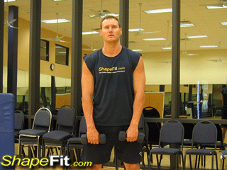 shoulder-exercises-standing-dumbbell-upright-rows