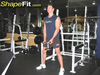 quadriceps-exercises-plie-squats