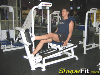 quadriceps-exercises-one-leg-machine-squats