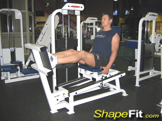 quadriceps-exercises-lying-machine-squats
