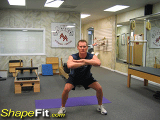 quadriceps-exercises-freehand-jump-squats