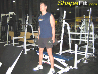 quadriceps-exercises-dumbbell-squats-to-bench