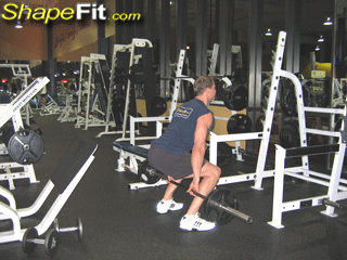 quadriceps-exercises-barbell-hack-squats