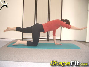 pilates-exercises-cat-balance-1