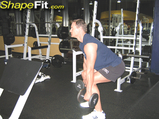middle-back-exercises-bent-over-two-dumbbell-rows-palms-in