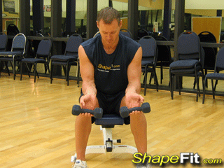 forearms-exercises-seated-dumbbell-palms-up-wrist-curls