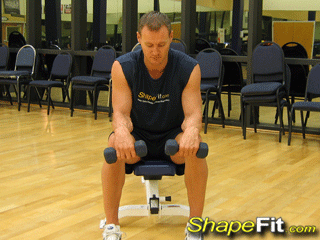 forearms-exercises-seated-dumbbell-palms-down-wrist-curls