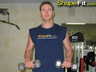 forearms-exercises-dumbbell-wrist-flippers