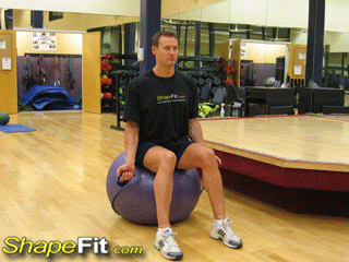 exercise-bands-two-arm-curls-exercise-ball
