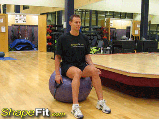 exercise-bands-one-arm-curls-exercise-ball
