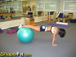 abs-exercises-exercise-ball-inverted-leg-pull-ins