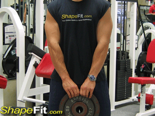 biceps-exercises-reverse-plate-curls