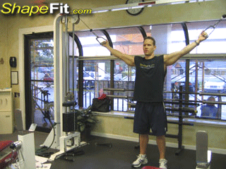 biceps-exercises-overhead-cable-curls