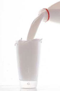 milk-weight-loss