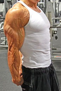 build-huge-triceps