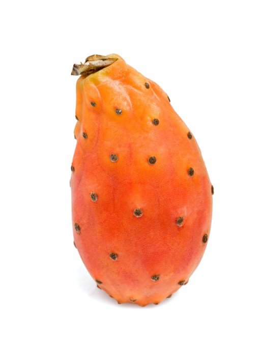 one prickly pear