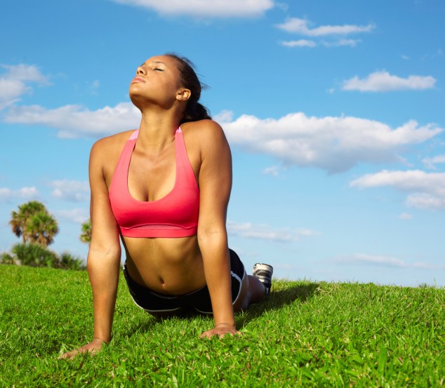 yoga chaturanga