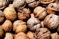 Eating nuts can help fight obesity