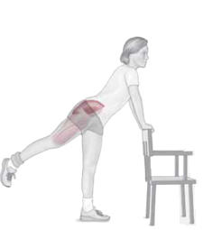 Hip Extension