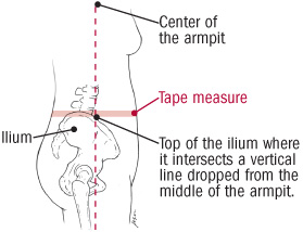 illustration of how to measure waist