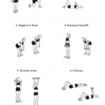 Total Body Dumbbell Workout Plan