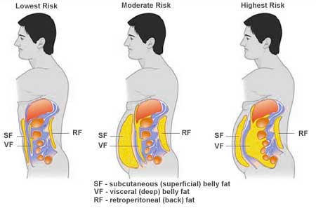 how to lose belly fat