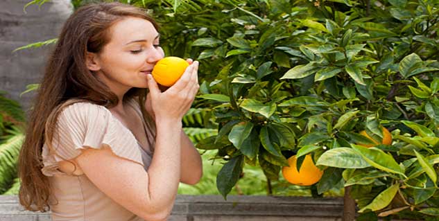 Oranges for Weight Loss