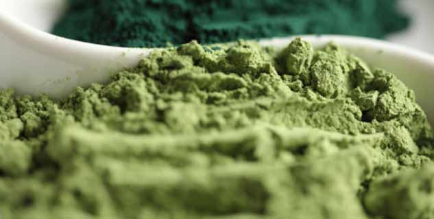 Spirulina Weight Loss