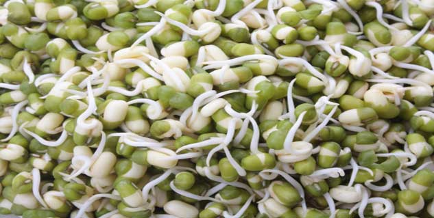 moong dal sprout