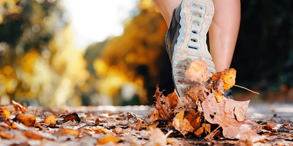 Fall Health Trends With a Twist
