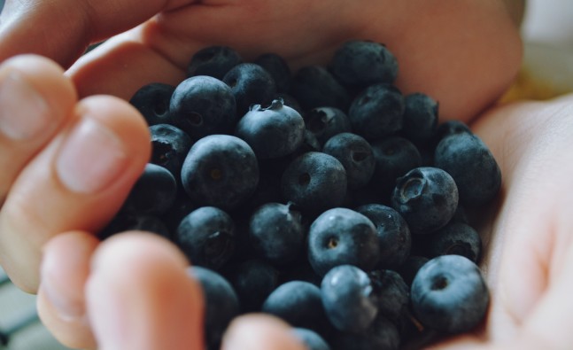 Healthy bites: Blueberries