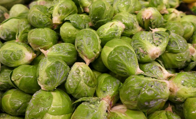brussel-sprouts-92240_1280