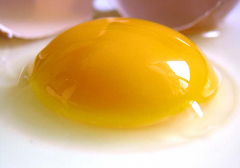 egg-552848_1280_A4W