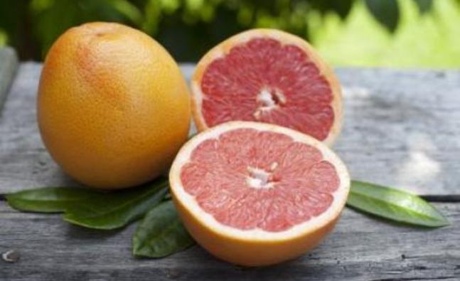 grapefruit_606360230_detail.jpg