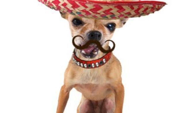 mexican_dog_6521479401_detail.jpg