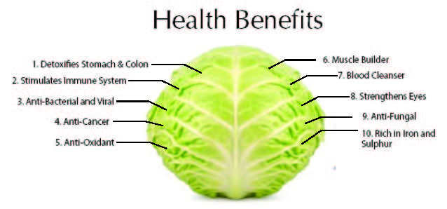 cabbage and bone health
