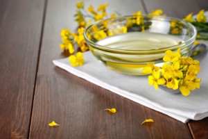 health risks of canola oil