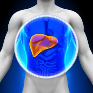 Enlarged liver hepatomegaly
