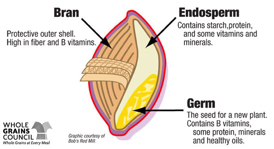 what-is-a-whole-grain.jpg