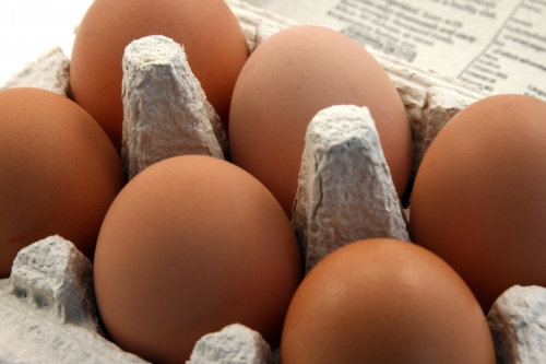 eggs1.jpg